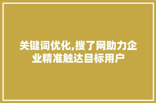 关键词优化,搜了网助力企业精准触达目标用户