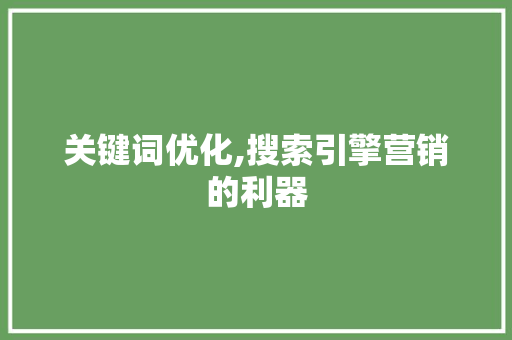 关键词优化,搜索引擎营销的利器