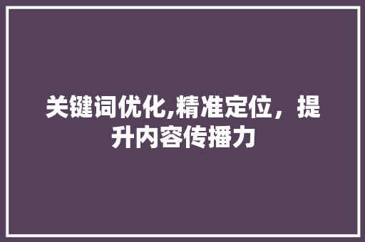 关键词优化,精准定位，提升内容传播力