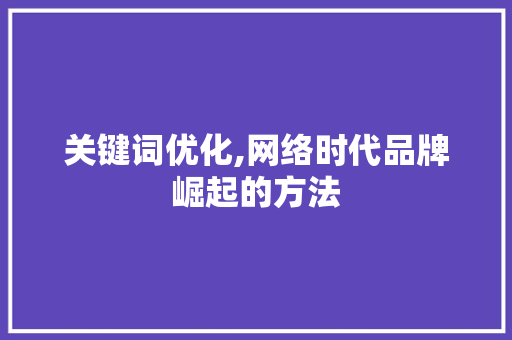 关键词优化,网络时代品牌崛起的方法