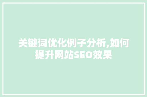 关键词优化例子分析,如何提升网站SEO效果