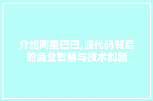 介绍阿里巴巴,源代码背后的商业智慧与技术创新