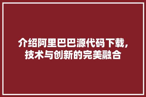 介绍阿里巴巴源代码下载,技术与创新的完美融合