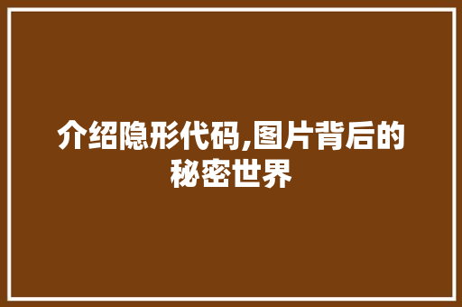 介绍隐形代码,图片背后的秘密世界