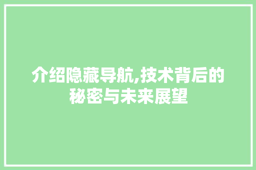 介绍隐藏导航,技术背后的秘密与未来展望