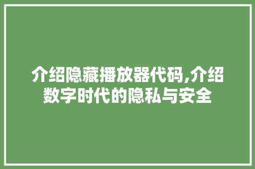 介绍隐藏播放器代码,介绍数字时代的隐私与安全