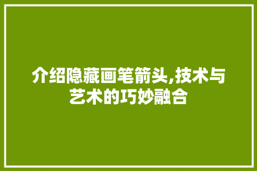 介绍隐藏画笔箭头,技术与艺术的巧妙融合