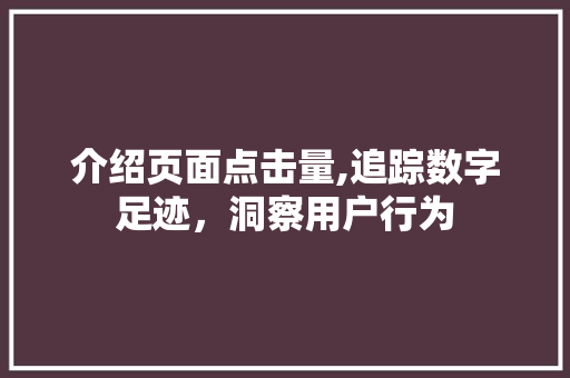 介绍页面点击量,追踪数字足迹，洞察用户行为