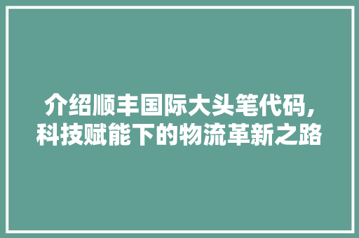 介绍顺丰国际大头笔代码,科技赋能下的物流革新之路