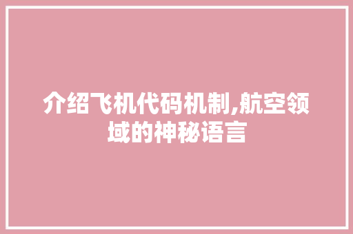 介绍飞机代码机制,航空领域的神秘语言