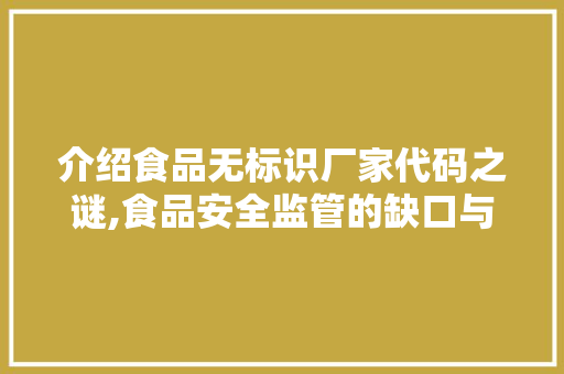 介绍食品无标识厂家代码之谜,食品安全监管的缺口与挑战