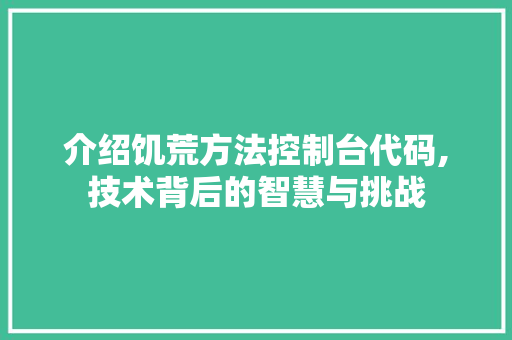 介绍饥荒方法控制台代码,技术背后的智慧与挑战