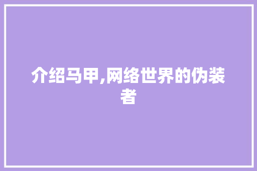 介绍马甲,网络世界的伪装者