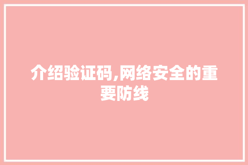 介绍验证码,网络安全的重要防线