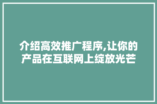 介绍高效推广程序,让你的产品在互联网上绽放光芒