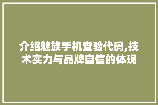 介绍魅族手机查验代码,技术实力与品牌自信的体现