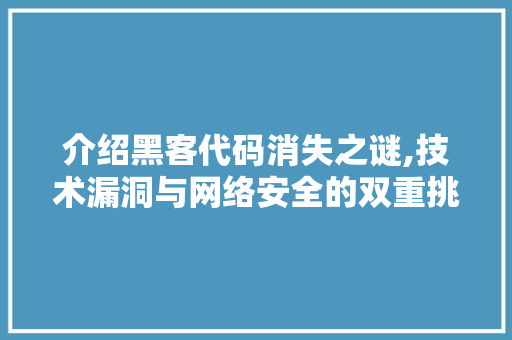 介绍黑客代码消失之谜,技术漏洞与网络安全的双重挑战