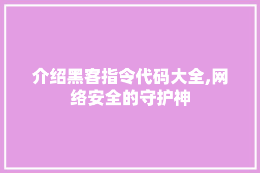 介绍黑客指令代码大全,网络安全的守护神