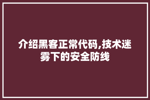 介绍黑客正常代码,技术迷雾下的安全防线