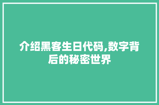 介绍黑客生日代码,数字背后的秘密世界