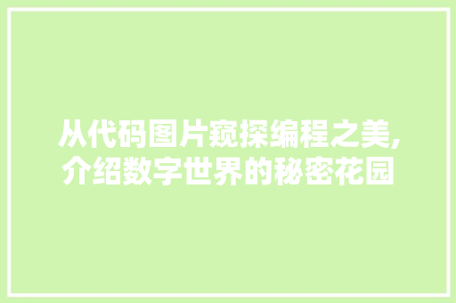 从代码图片窥探编程之美,介绍数字世界的秘密花园