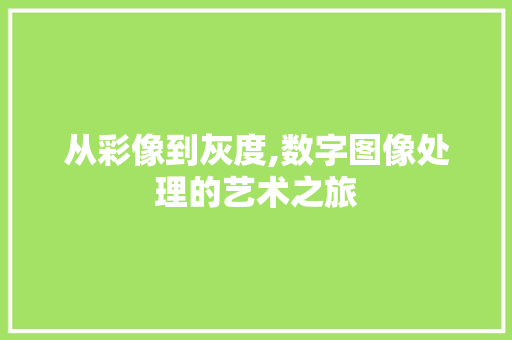 从彩像到灰度,数字图像处理的艺术之旅