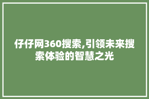 仔仔网360搜索,引领未来搜索体验的智慧之光