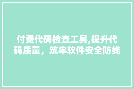 付费代码检查工具,提升代码质量，筑牢软件安全防线