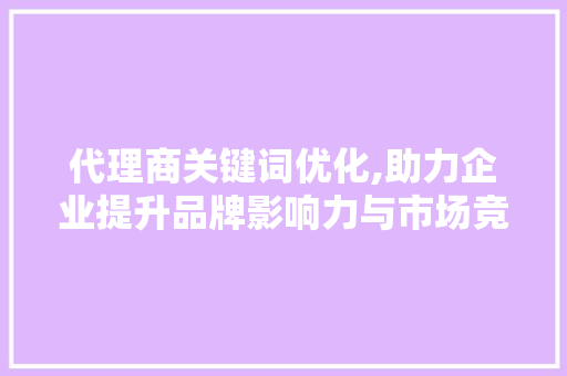 代理商关键词优化,助力企业提升品牌影响力与市场竞争力