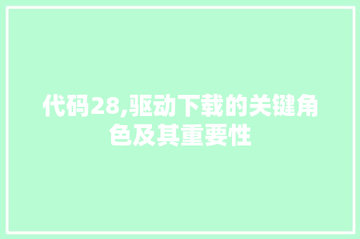 代码28,驱动下载的关键角色及其重要性