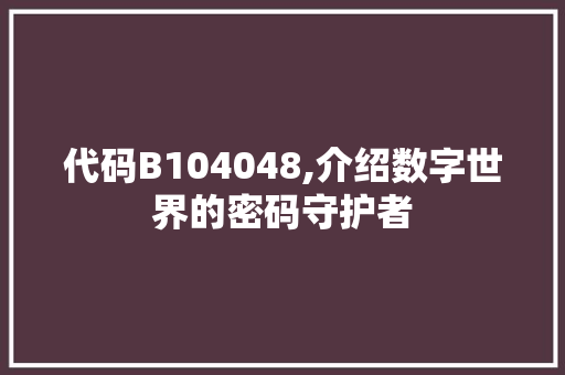 代码B104048,介绍数字世界的密码守护者