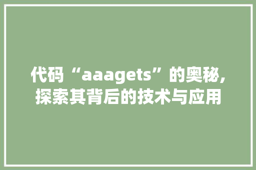 代码“aaagets”的奥秘,探索其背后的技术与应用