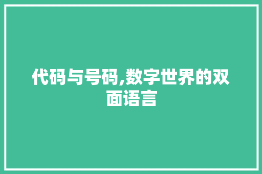 代码与号码,数字世界的双面语言