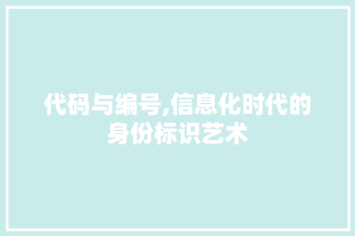 代码与编号,信息化时代的身份标识艺术