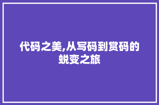 代码之美,从写码到赏码的蜕变之旅