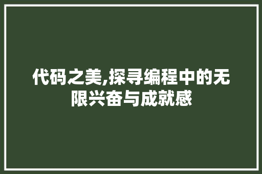 代码之美,探寻编程中的无限兴奋与成就感