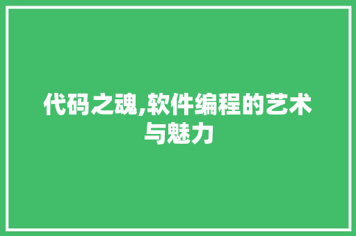 代码之魂,软件编程的艺术与魅力