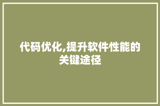 代码优化,提升软件性能的关键途径