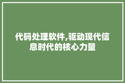 代码处理软件,驱动现代信息时代的核心力量