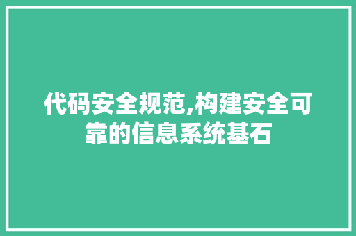 代码安全规范,构建安全可靠的信息系统基石