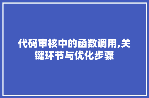 代码审核中的函数调用,关键环节与优化步骤