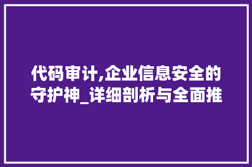 代码审计,企业信息安全的守护神_详细剖析与全面推销