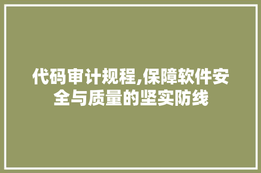 代码审计规程,保障软件安全与质量的坚实防线