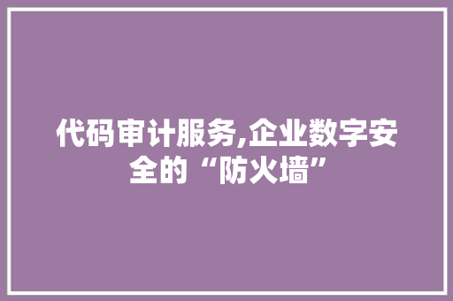 代码审计服务,企业数字安全的“防火墙”