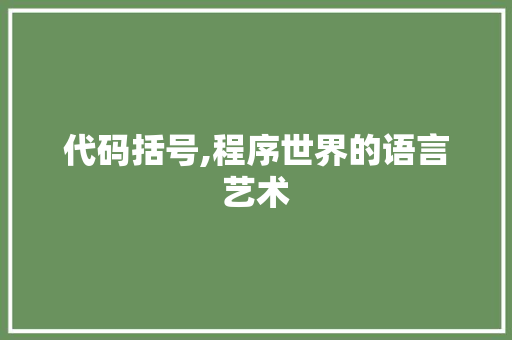 代码括号,程序世界的语言艺术