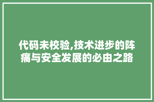 代码未校验,技术进步的阵痛与安全发展的必由之路