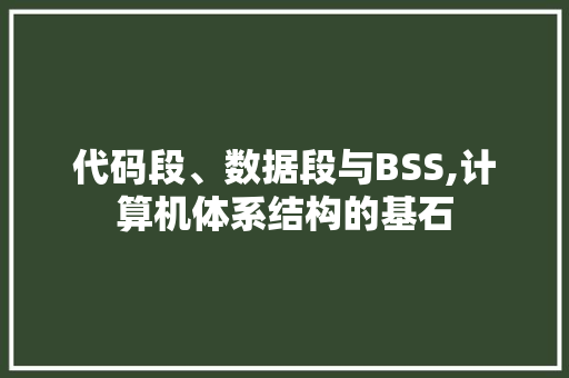 代码段、数据段与BSS,计算机体系结构的基石