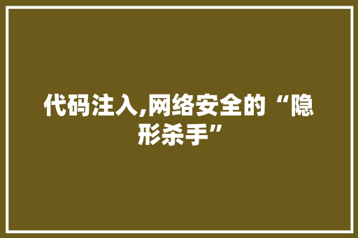 代码注入,网络安全的“隐形杀手”