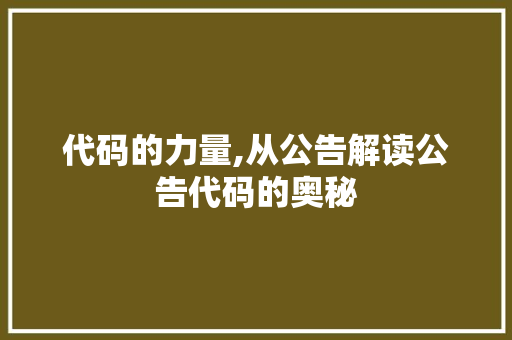 代码的力量,从公告解读公告代码的奥秘