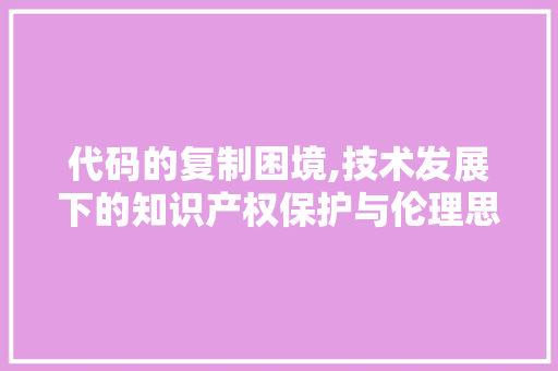 代码的复制困境,技术发展下的知识产权保护与伦理思考